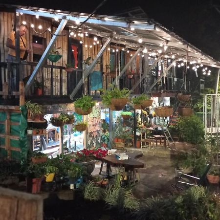 Casa Tranquilo Hostel Monteverde Ngoại thất bức ảnh