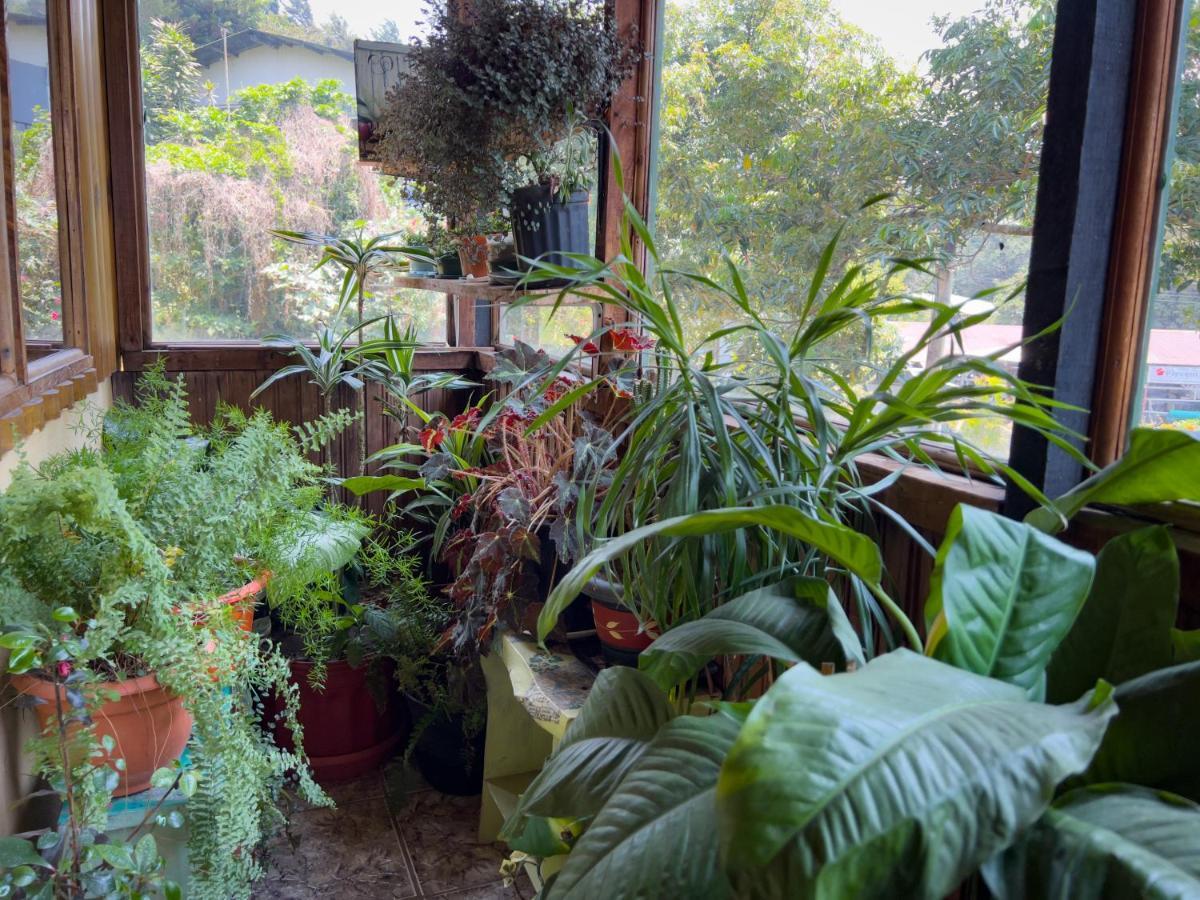 Casa Tranquilo Hostel Monteverde Ngoại thất bức ảnh
