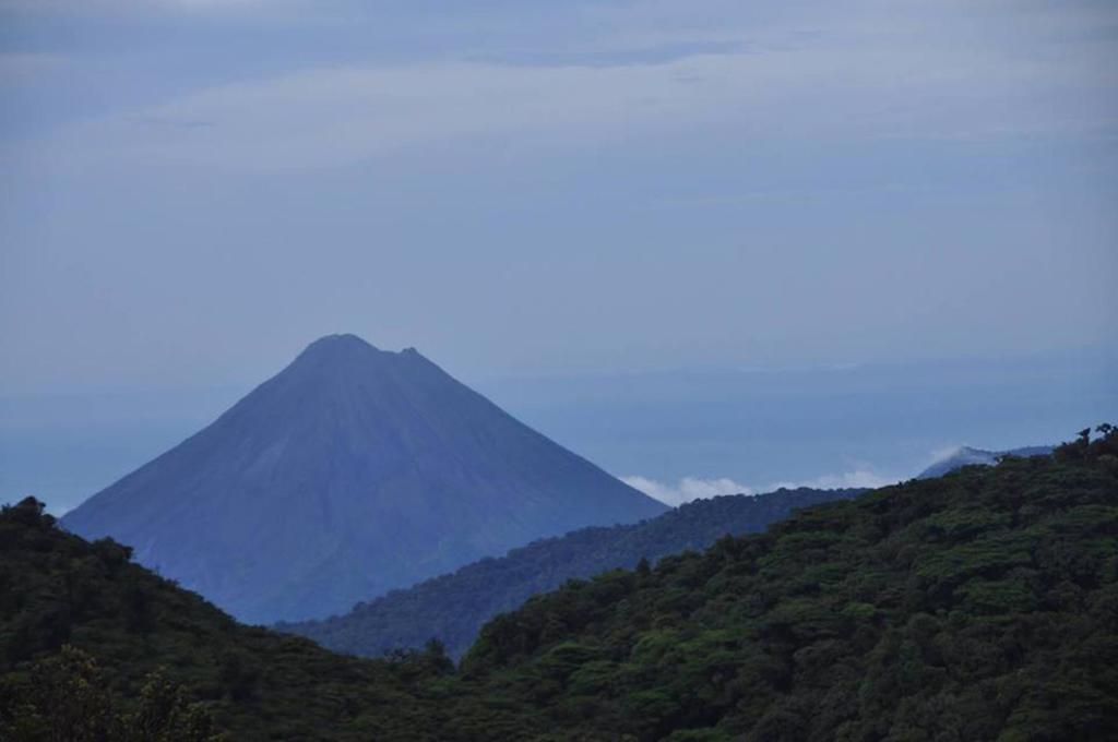 Casa Tranquilo Hostel Monteverde Ngoại thất bức ảnh